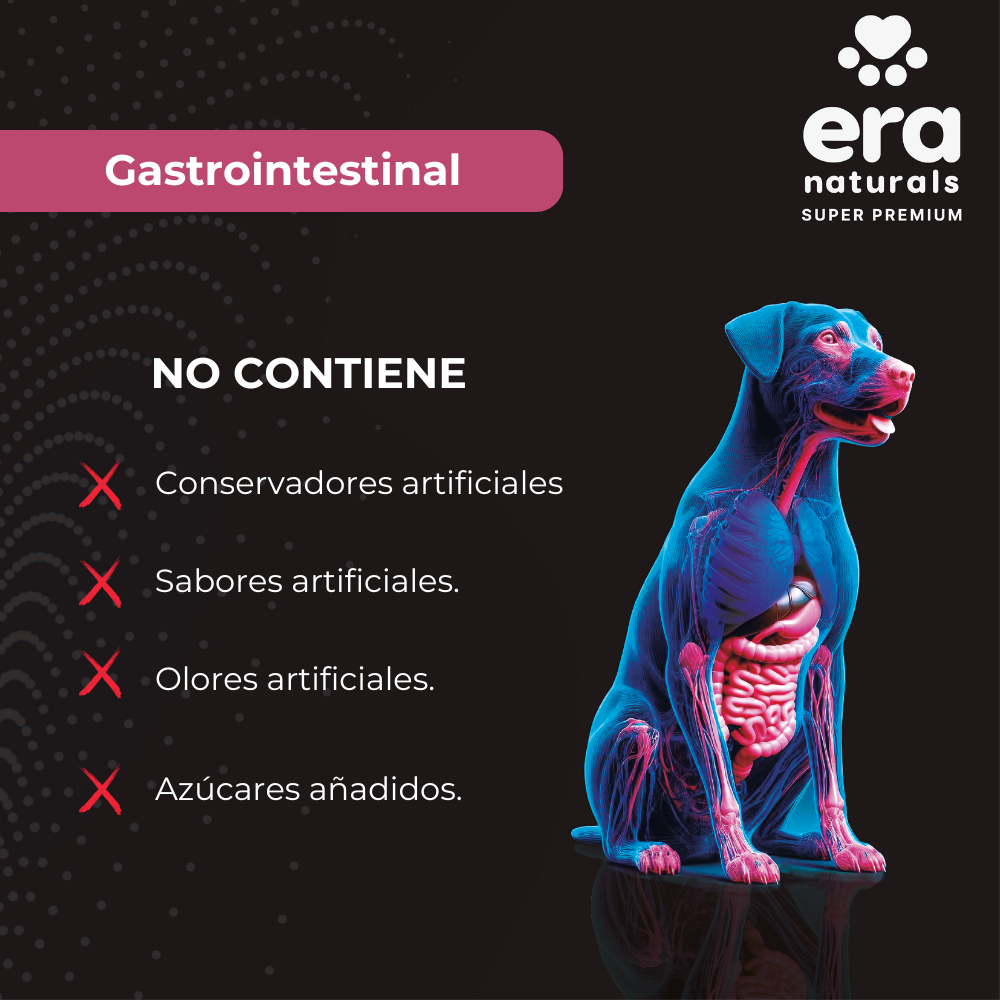 Suplemento para Perros Era Naturals Gastrointestinal - Gastrointestinal Support 300 Gr Suplemento para Perros Era Naturals Gastrointestinal - Gastrointestinal Support 300 Gr